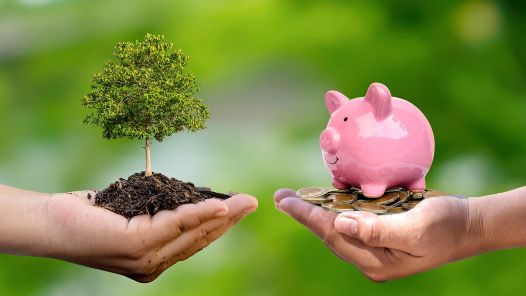 The environment vs the piggy bank
